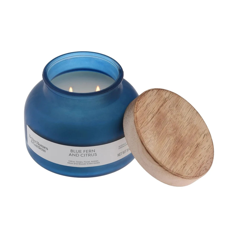 Blue Fern Citrus Scented Candle 2 Wick Jar Candle 18oz Aromatic Fragrance Home Décor Paraffin Wax Long Burn Time 52 Hours