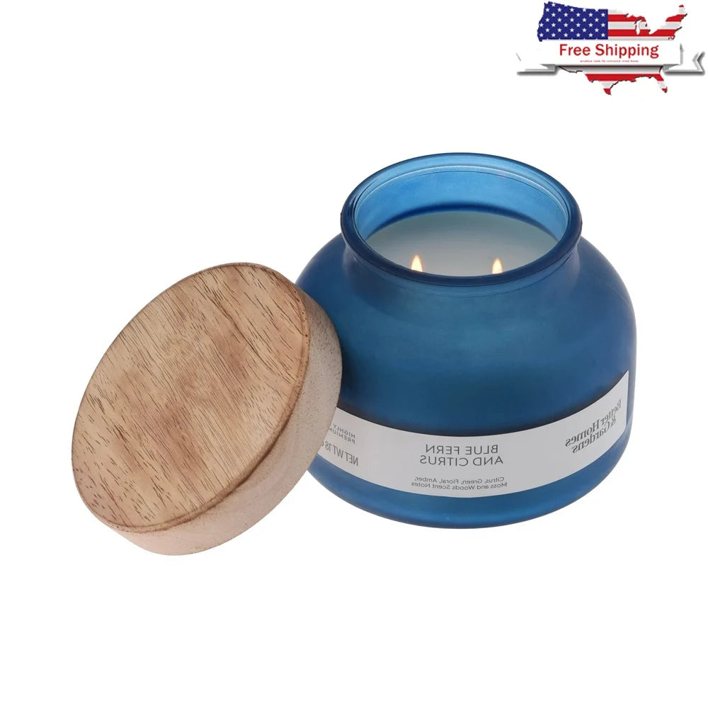 Blue Fern Citrus Scented Candle 2 Wick Jar Candle 18oz Aromatic Fragrance Home Décor Paraffin Wax Long Burn Time 52 Hours